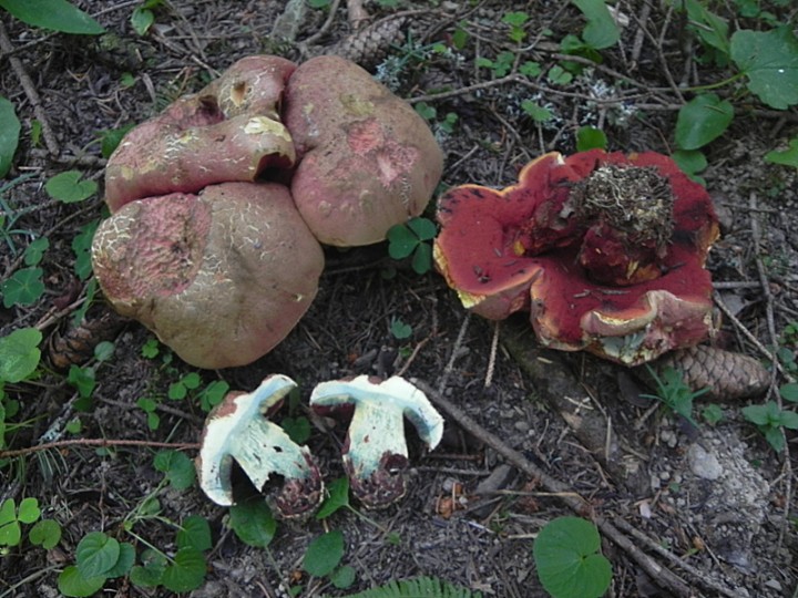 DSCN8910b.JPG