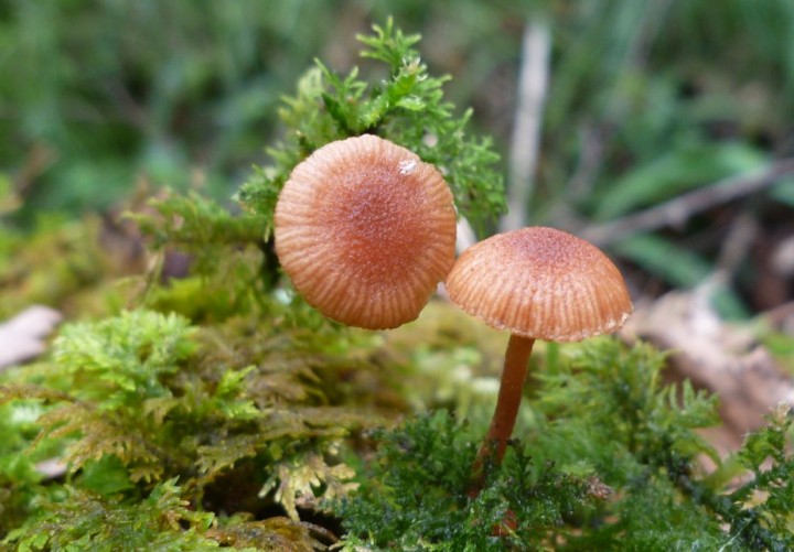 L1340280 (copie 1).JPG