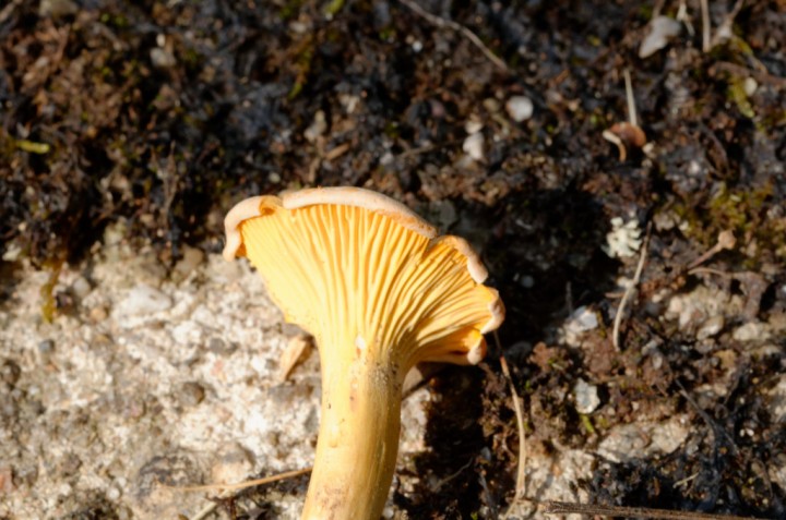 DSC_4257_DxO_DxO.jpg