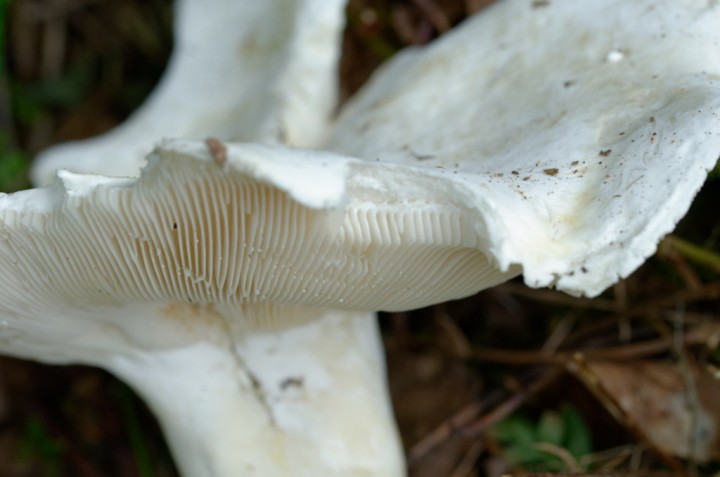 DSC_4249_DxO_DxO.jpg