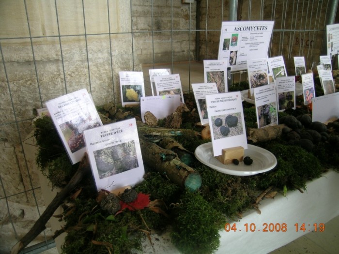 dscn2811.jpg