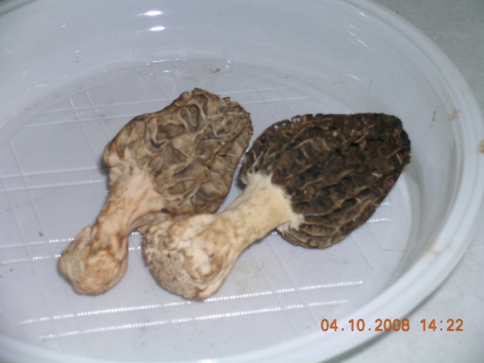 dscn2812.jpg
