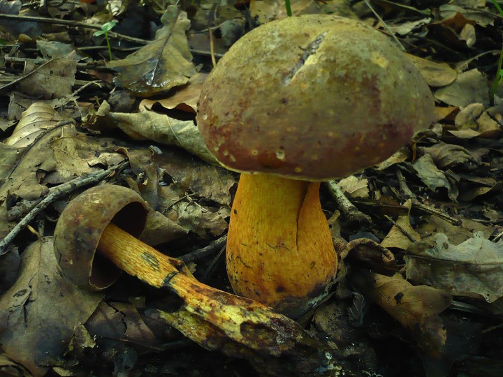 P1220758.jpg