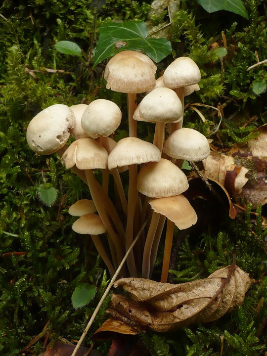 P1220841.jpg