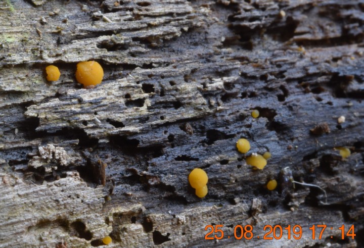 DSC_0760_01.JPG