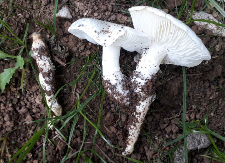 20190823_161742.jpg