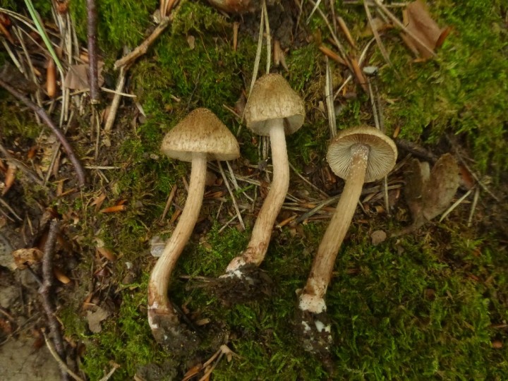 P1300092.JPG