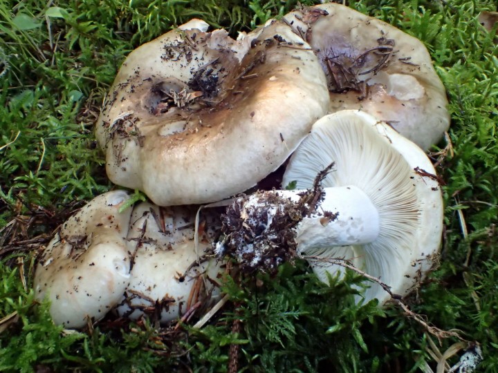 P9030892.JPG