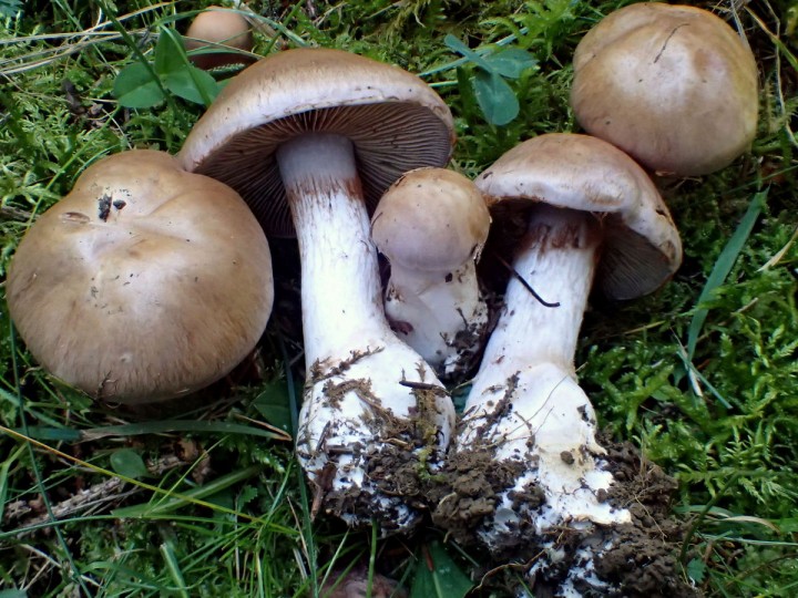 P9030896.JPG
