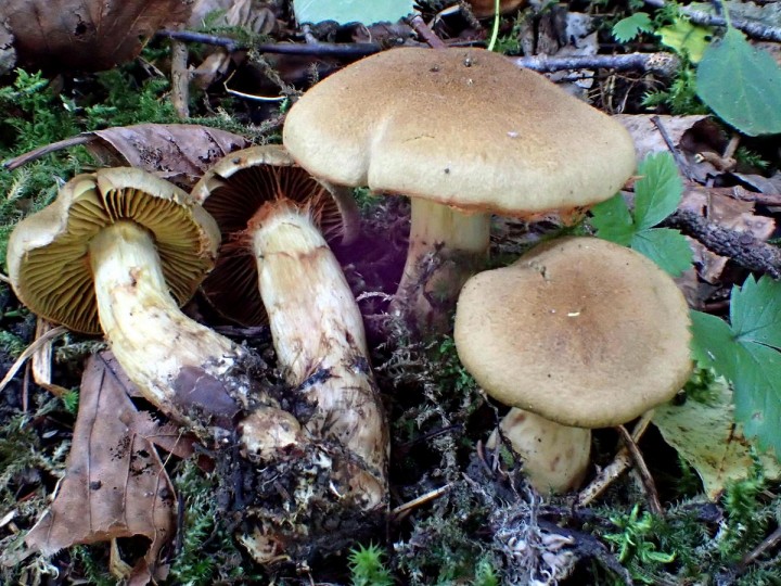 P9030900.JPG