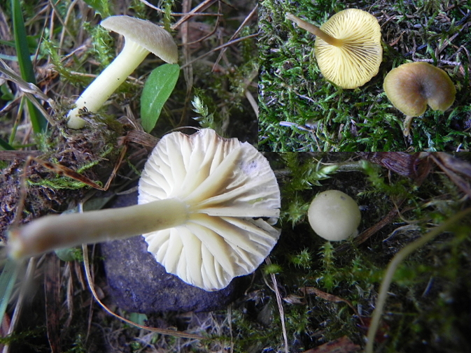 DSCN9954bb.JPG