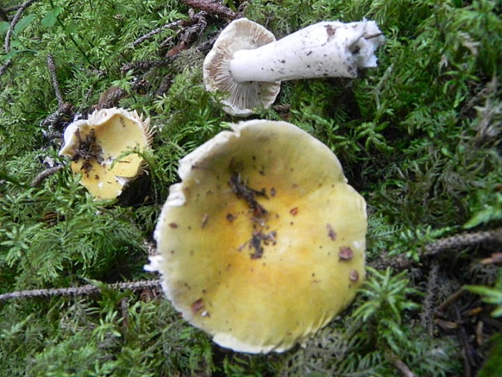 DSCN9946b.JPG
