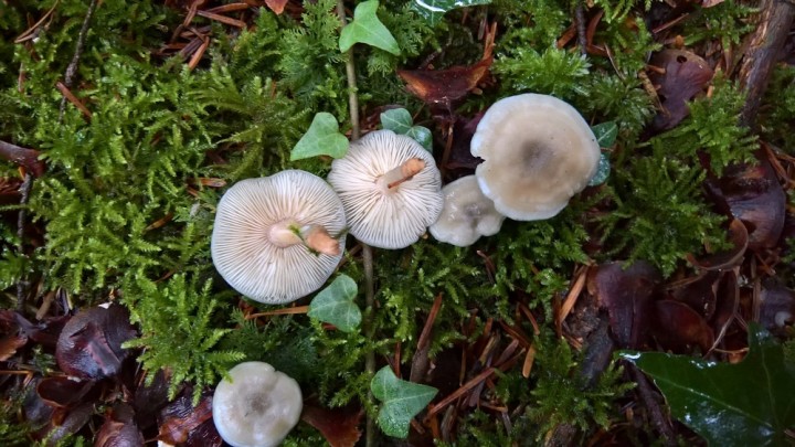 WP_20190927_16_38_29_Pro.jpg