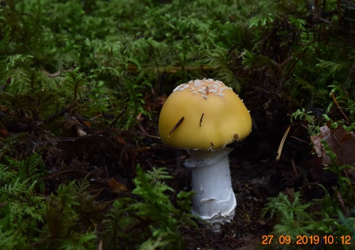 DSC_0838_01.JPG