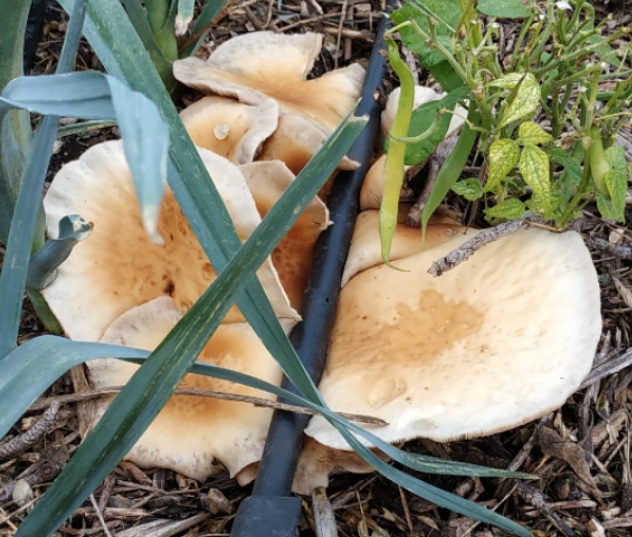 2019-09-30-15-27-52.jpg