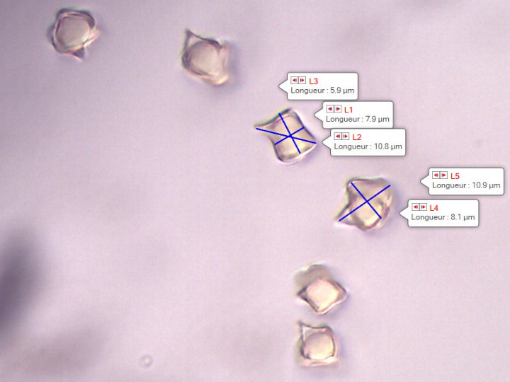 Capture_13.jpg