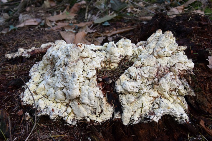 DSC_1057.jpg