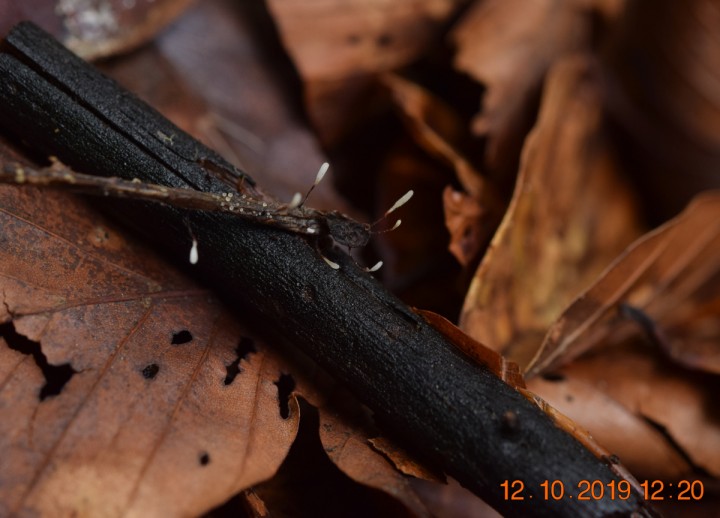 DSC_0885.JPG