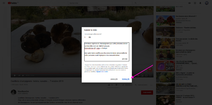 Inclure un horodatage correspondant à la présentation d'un dire ou d'une affirmation dangereuse et indiquer les raisons pour celle-ci. Cliquer sur &quot;Signaler&quot;.