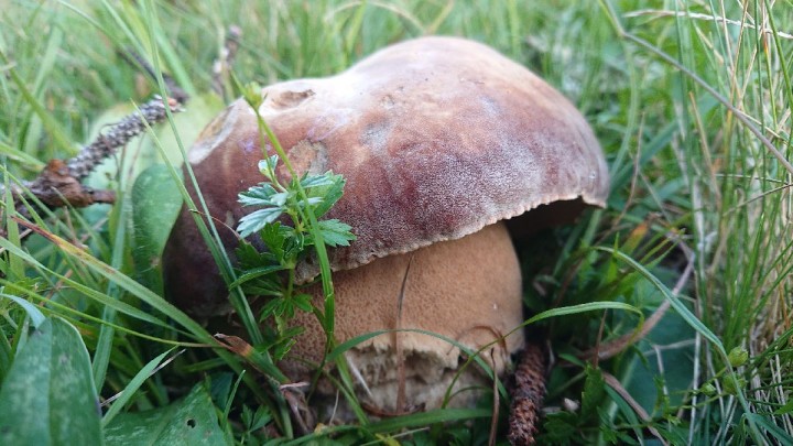 DSC_3141_resize_16.jpg