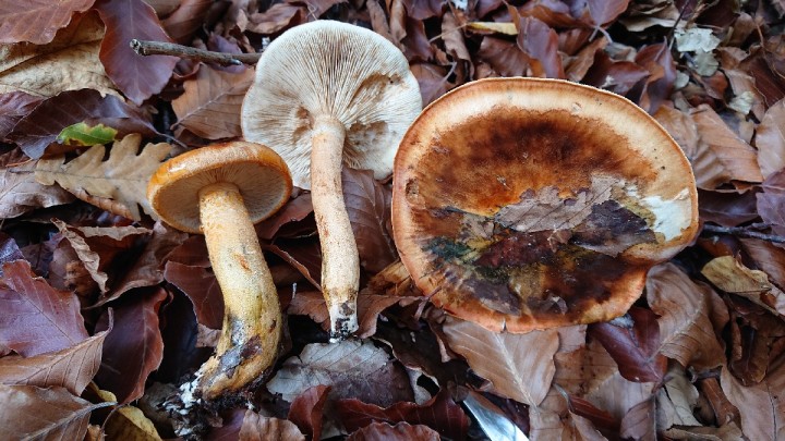 DSC_4122_resize_21.jpg