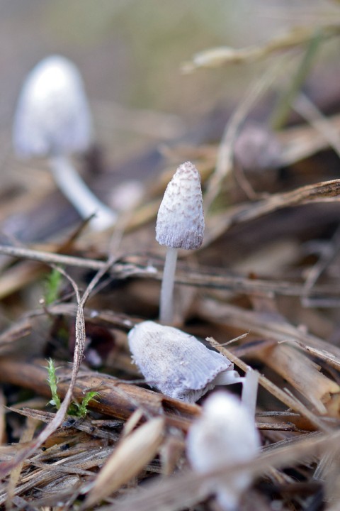 DSC_1046_02.jpg