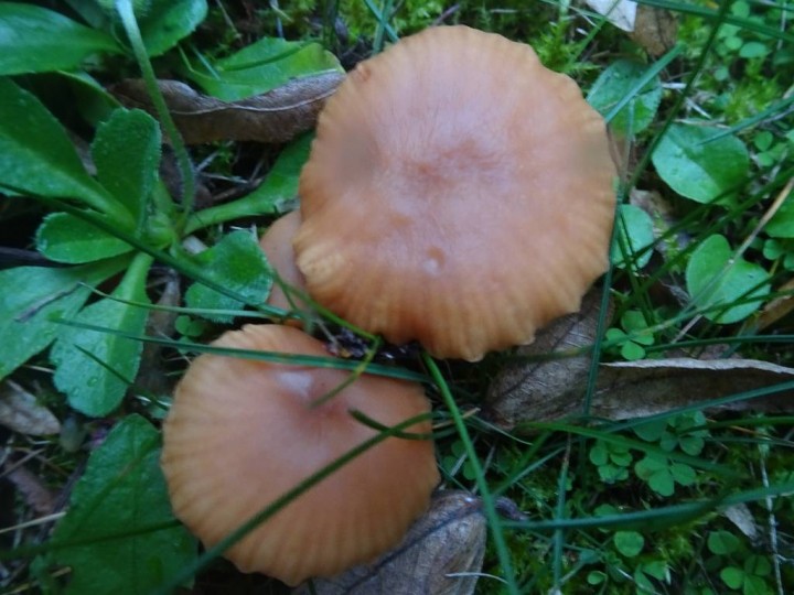 DSC02014.JPG