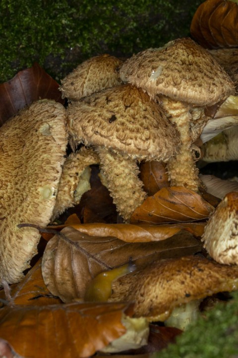 2019-10-30_13.56.12_1.JPG
