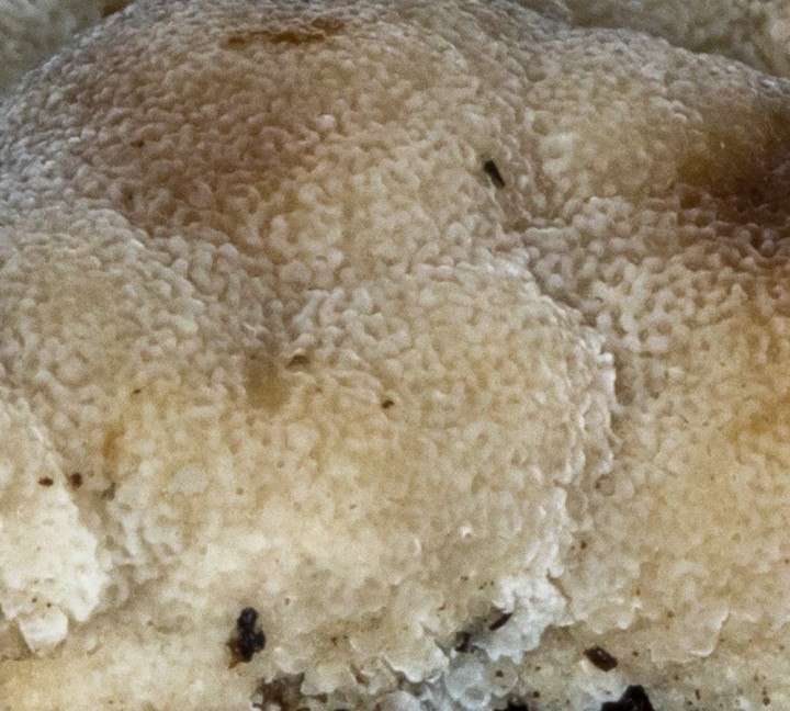 2019-10-30_15.25.02_1.JPG