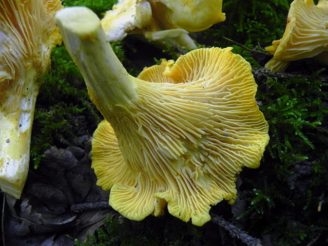 DSCN9618b.JPG