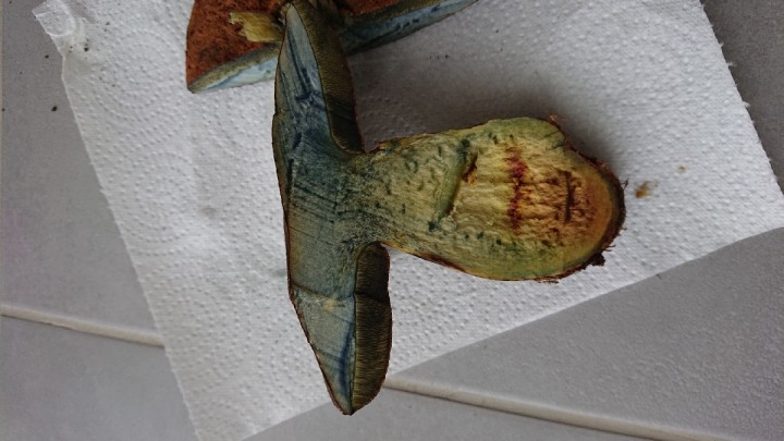 DSC_4336_resize_94.jpg