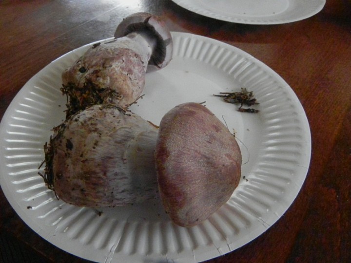 DSCN0026b.JPG