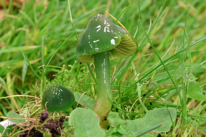 DSC_1126.jpg