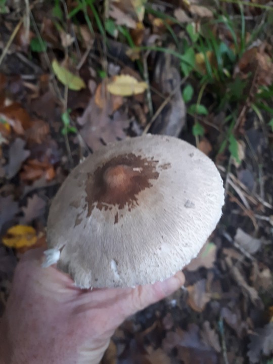 20191021_165705.jpg