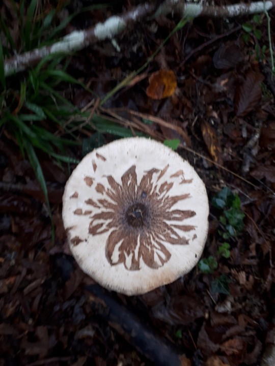 20191029_094756.jpg