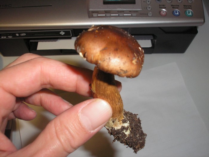 PA160027.JPG