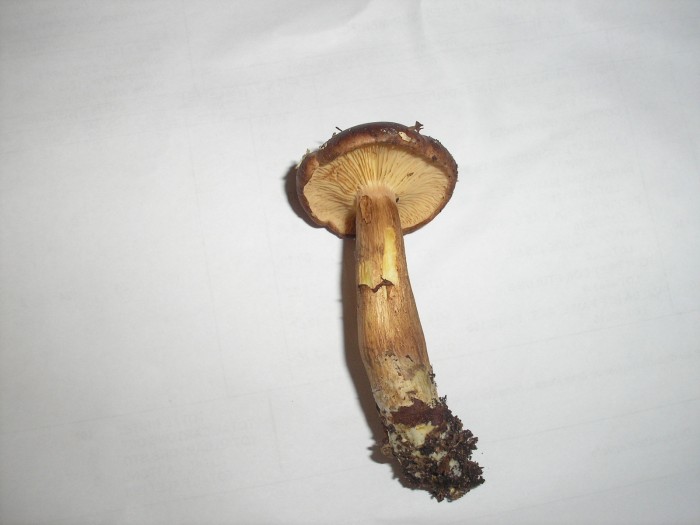 PA160026.JPG