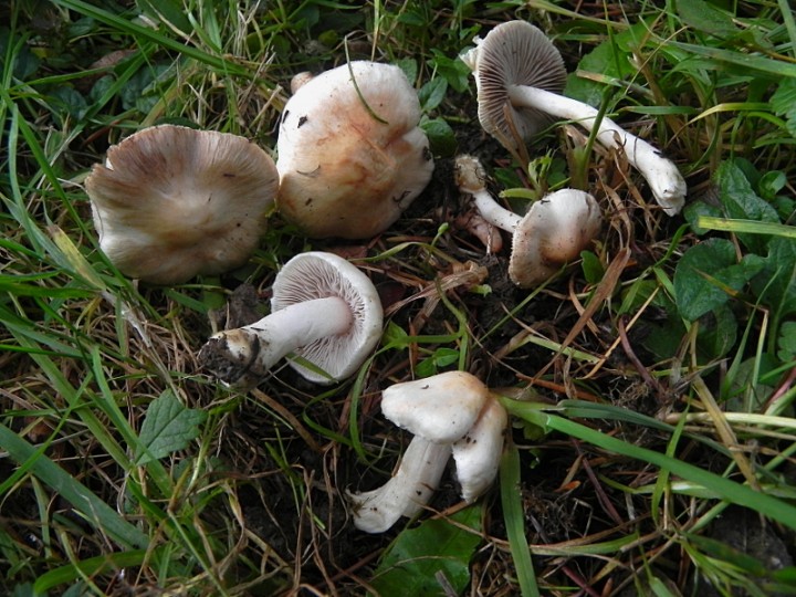 DSCN0528b.JPG