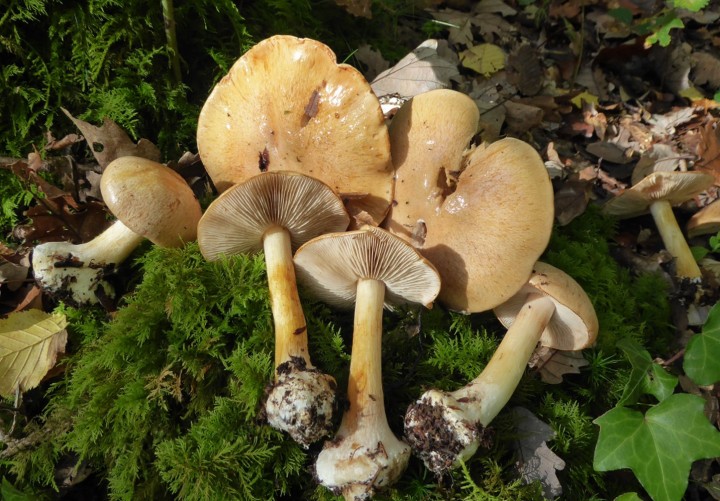 P1050877.JPG