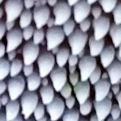 20191113_152621bis.jpg