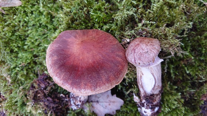 DSC_4493_resize_22.jpg