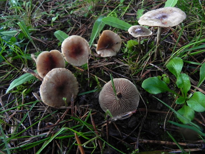 DSCN0316b.JPG