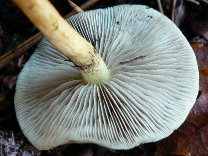 P1110335.jpg