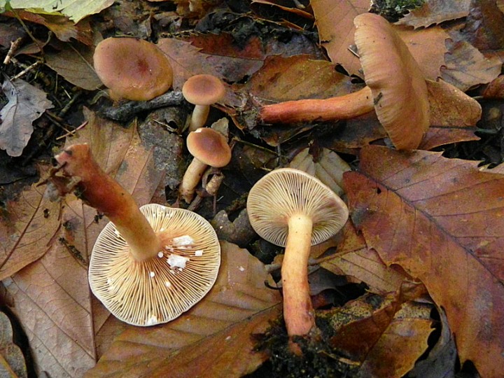 DSCN0395b.JPG