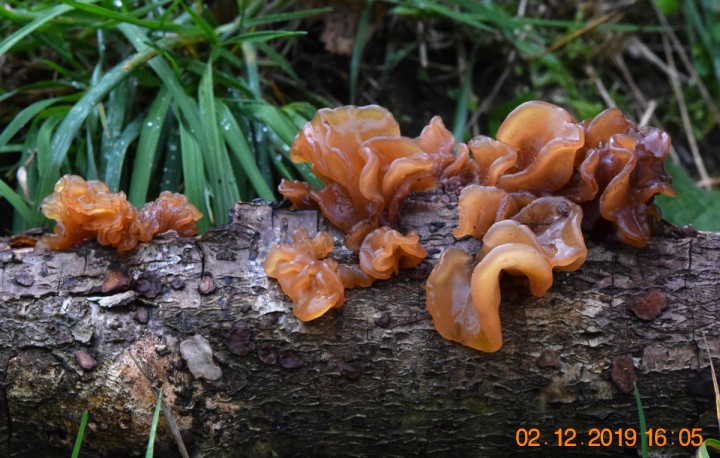 DSC_1070_01.JPG