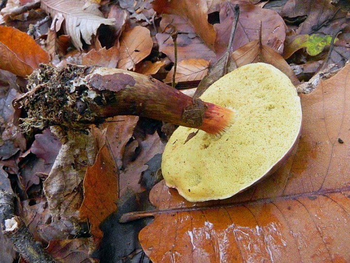 DSCN0381b.JPG