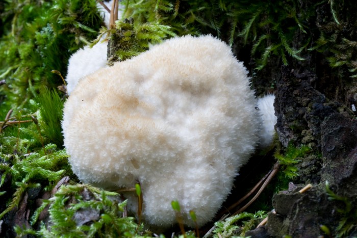 1 (3 sur 3).jpg