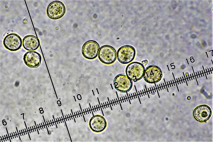 9-11 µ (2) (1024x684).jpg