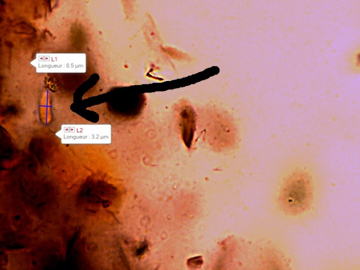 Capture_10.jpg