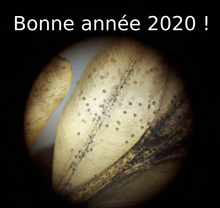 20190115_212623.jpg